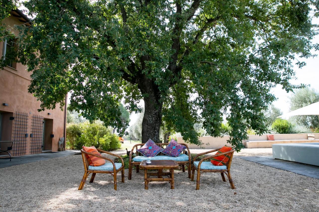Tenuta Di Paternostro Vetralla Dış mekan fotoğraf