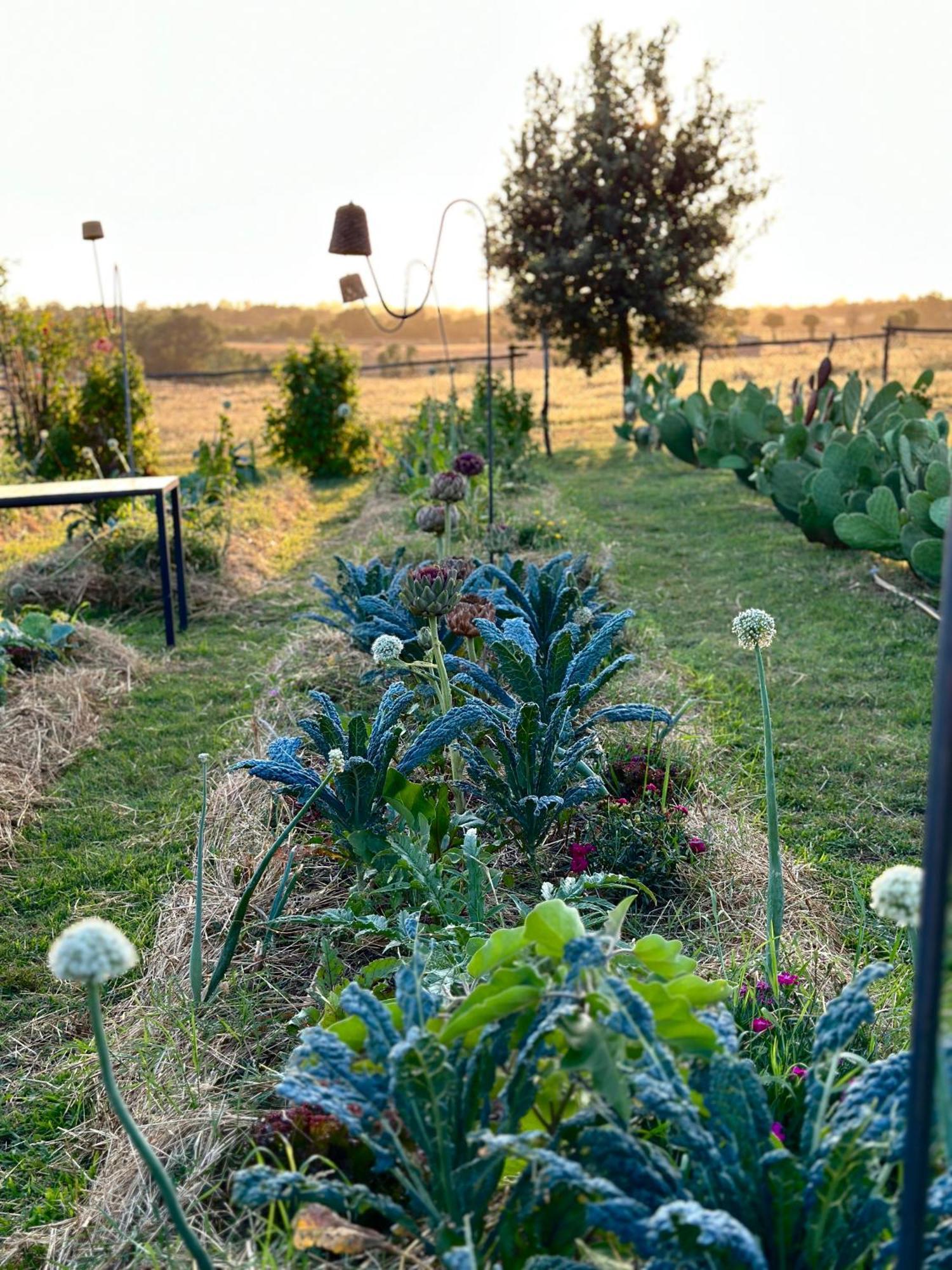 Tenuta Di Paternostro Vetralla Dış mekan fotoğraf