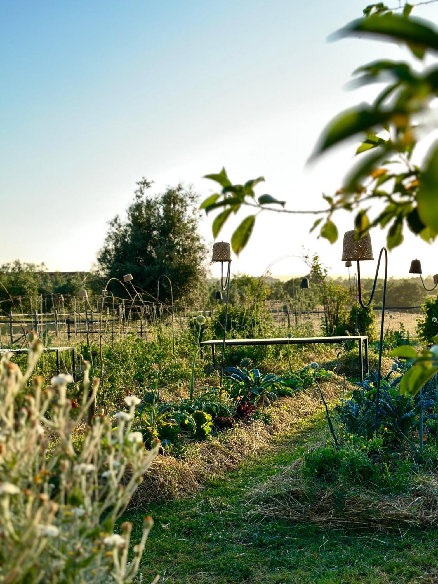 Tenuta Di Paternostro Vetralla Dış mekan fotoğraf
