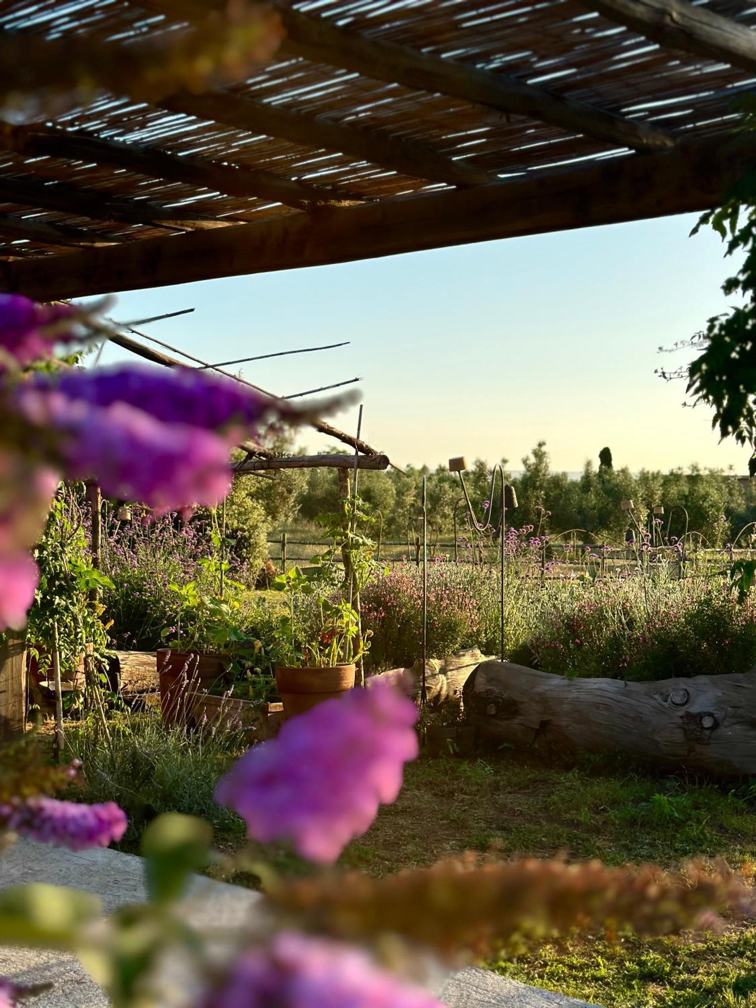 Tenuta Di Paternostro Vetralla Dış mekan fotoğraf