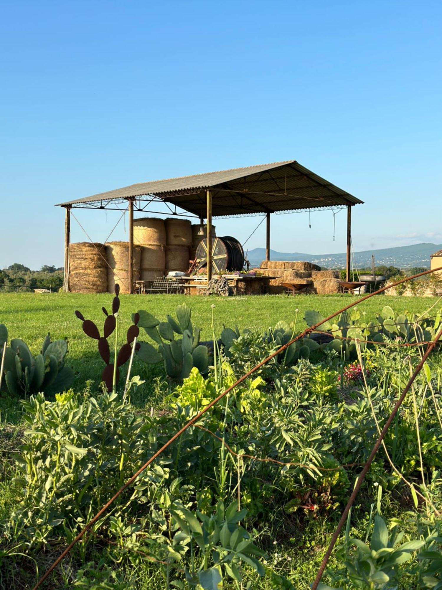 Tenuta Di Paternostro Vetralla Dış mekan fotoğraf