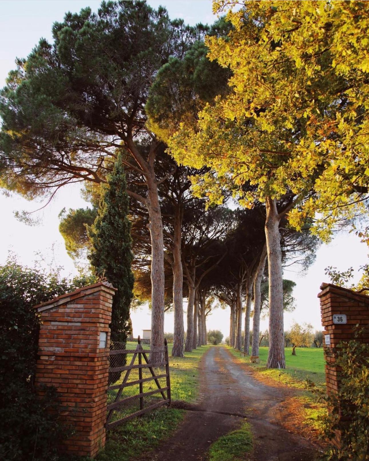 Tenuta Di Paternostro Vetralla Dış mekan fotoğraf